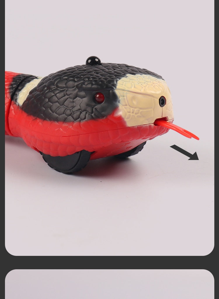 Serpent interactif / jouet pour chat et chien