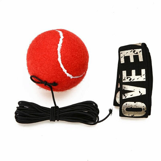 balle de training boxe