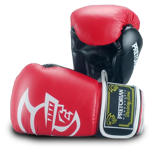 Gants de boxe Pretorian