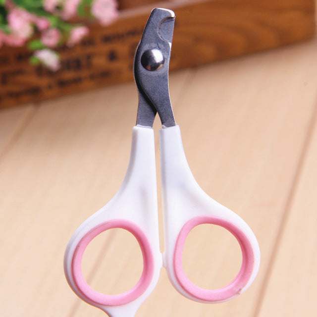Ciseaux Coupe Ongles Griffes pour Chat ou Chien