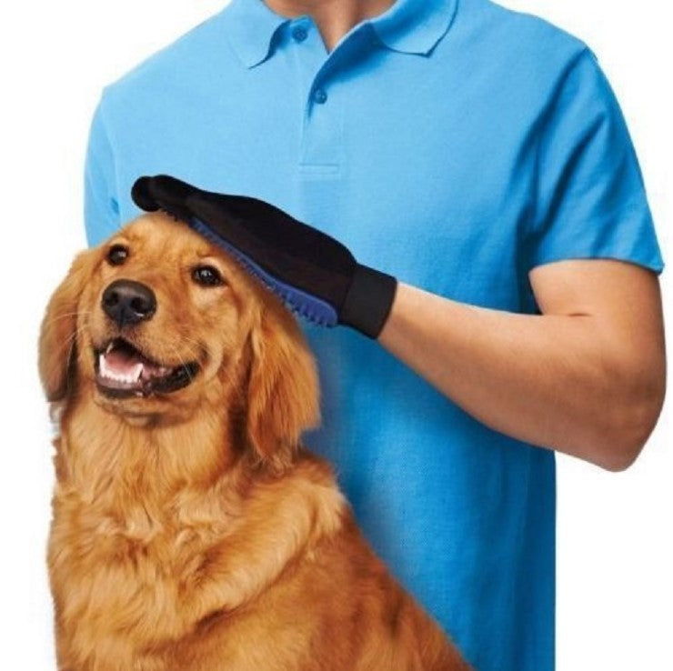 Gant de toilettage pour chien ou chat